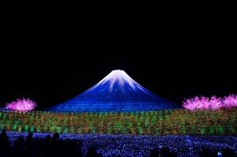 Mt. Fuji Cherry Blossom Display at Nabana no Sato