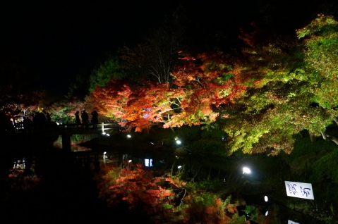 Fall Foliage at Nabana no Sato